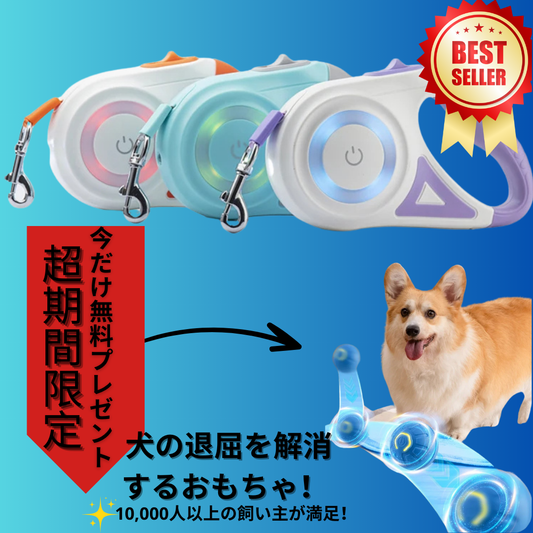 SmartLead (スマートリード)3 in 1リード：安全＆テクノロジーで快適な夜のお散歩！